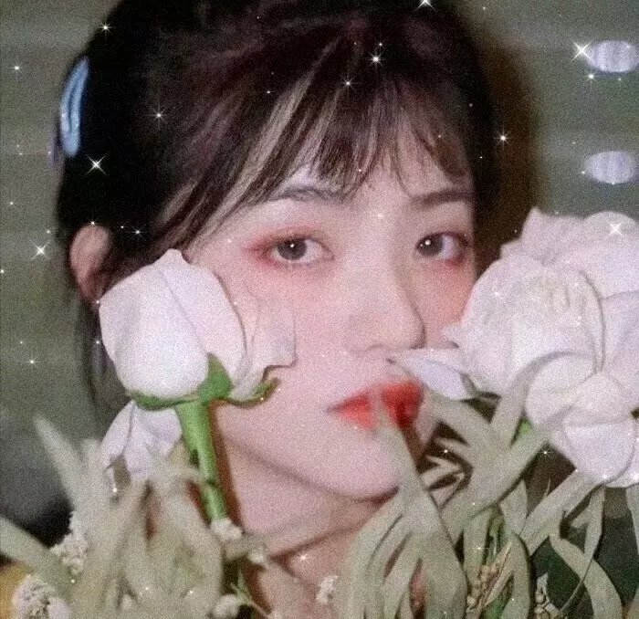 保护者